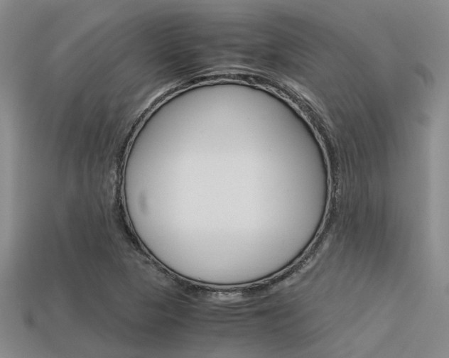 X0000113591313200909181040