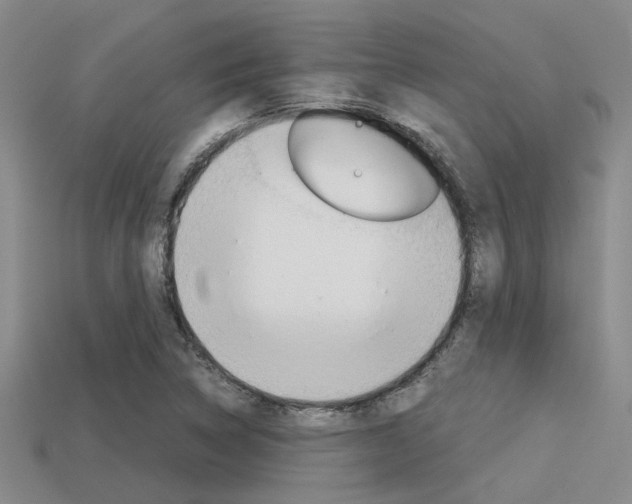 X0000113591314200909181040