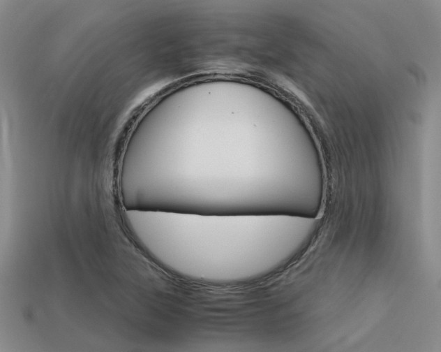 X0000113591315200909181040