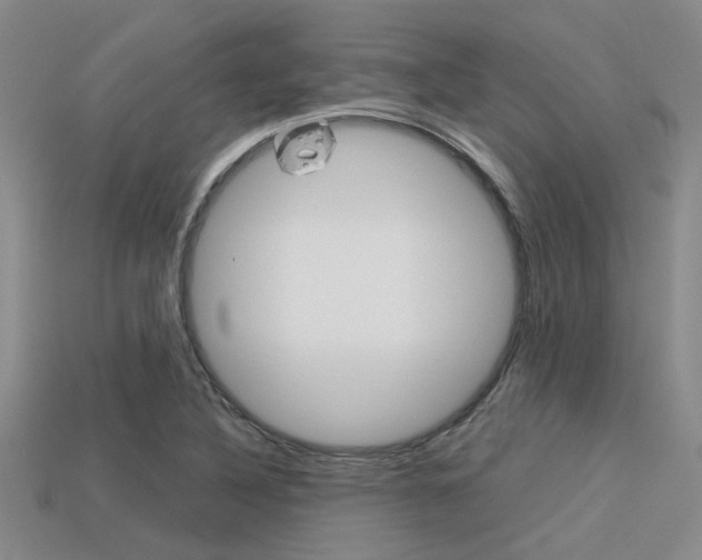 X0000113591316200909181040