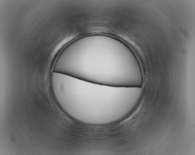 X0000113591317200909181040