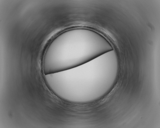 X0000113591318200909181040