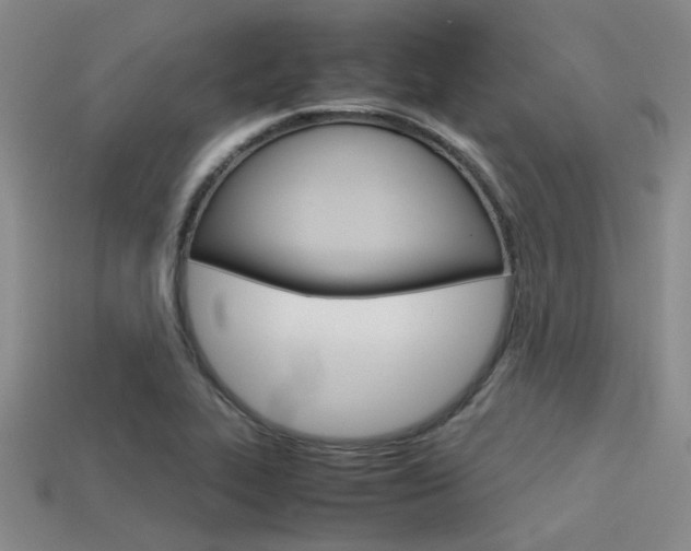 X0000113591319200909181040