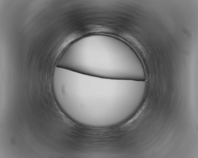 X0000113591321200909181040