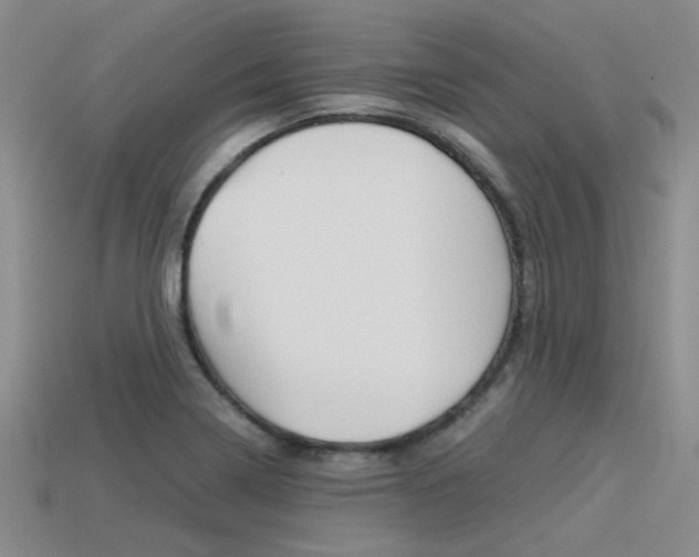 X0000113591322200909181040