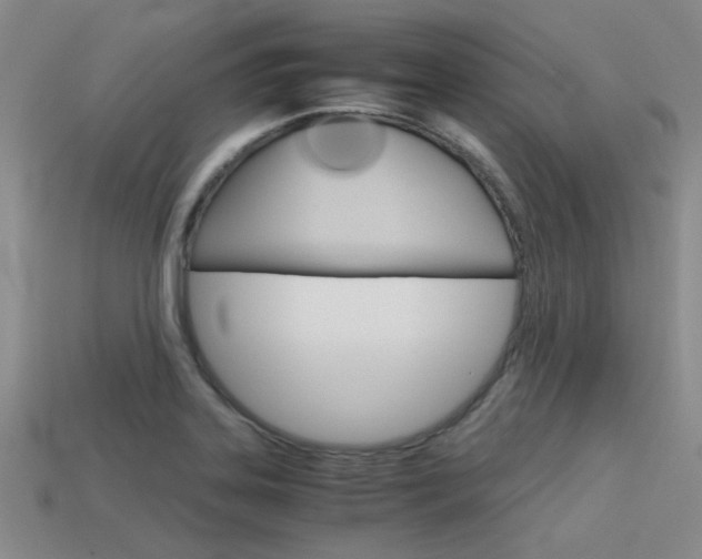 X0000113591323200909181040