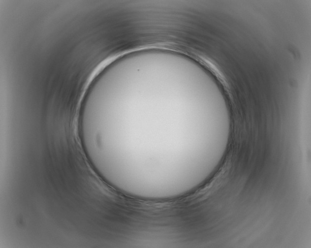 X0000113591324200909181040