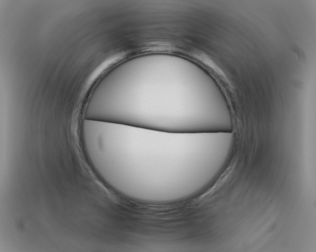 X0000113591325200909181040