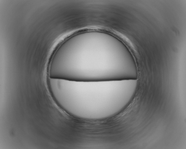 X0000113591327200909181040