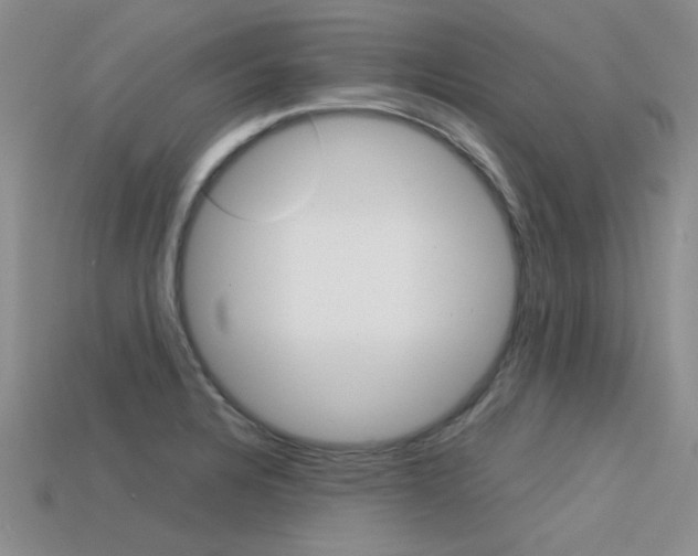 X0000113591328200909181040