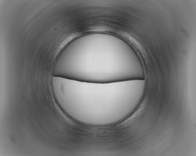 X0000113591329200909181040