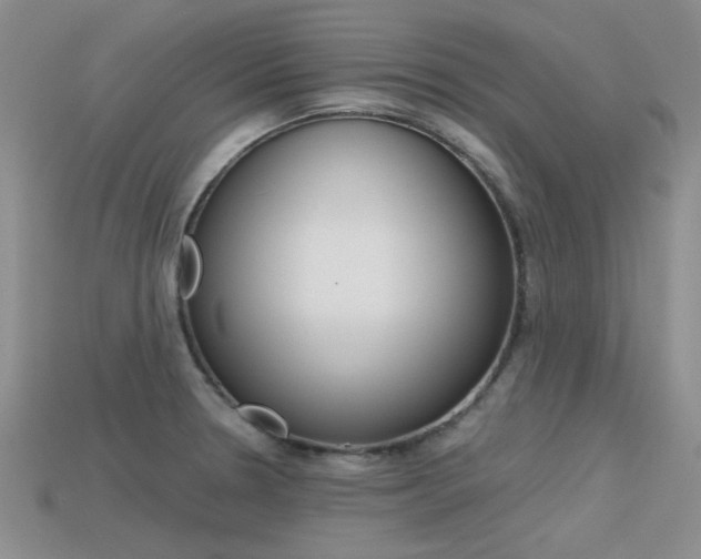 X0000113591330200909181040