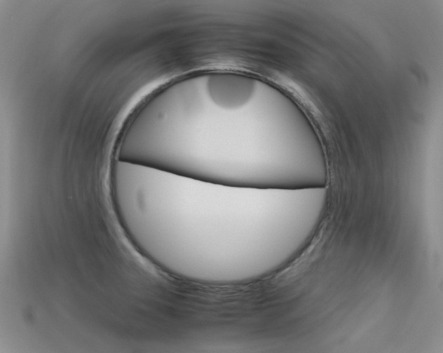 X0000113591331200909181040
