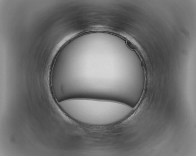 X0000113591333200909181040