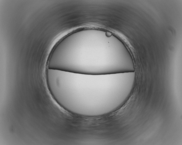 X0000113591335200909181040