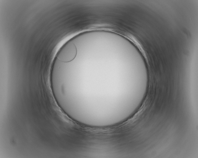 X0000113591336200909181040