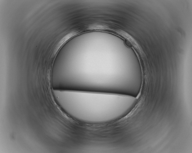X0000113591337200909181040