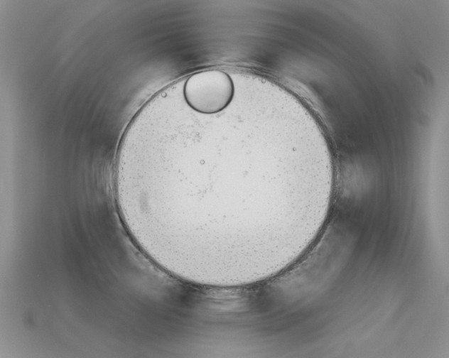 X0000113591338200909181040