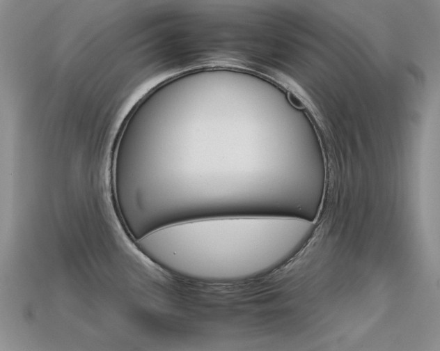 X0000113591339200909181040