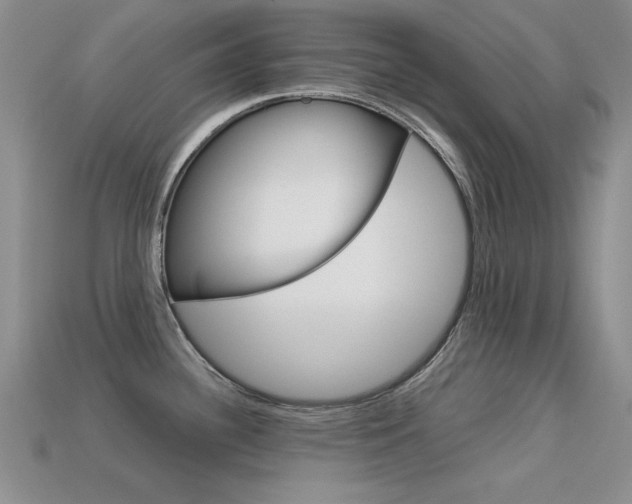 X0000113591340200909181040