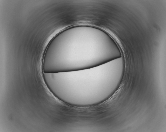 X0000113591341200909181040