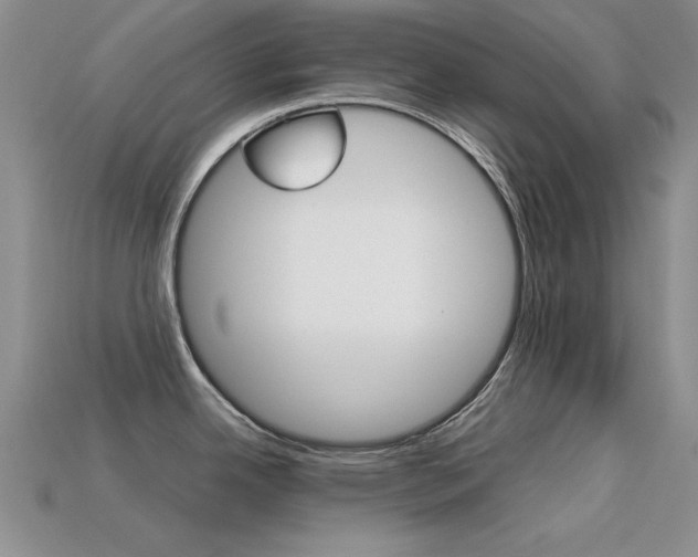 X0000113591342200909181040