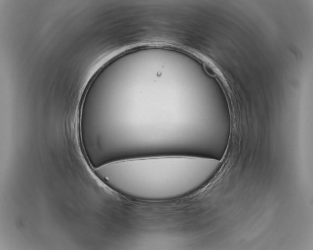 X0000113591343200909181040
