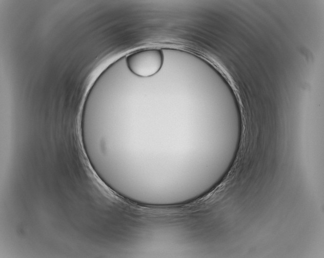 X0000113591344200909181040