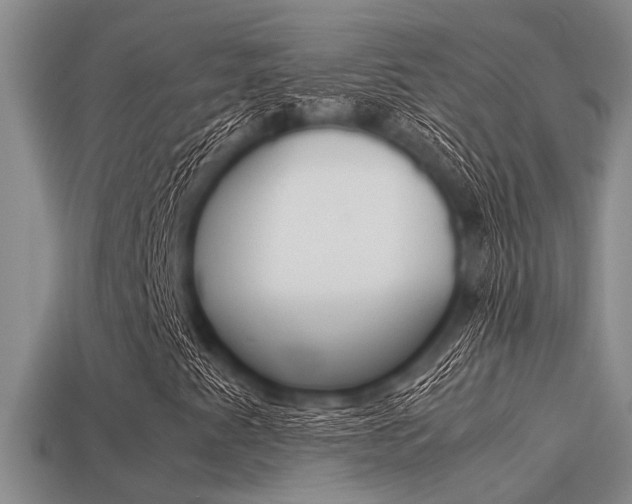 X0000113591345200909181040