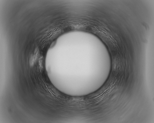 X0000113591346200909181040