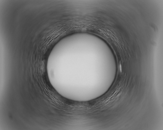 X0000113591347200909181040