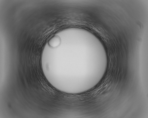 X0000113591348200909181040