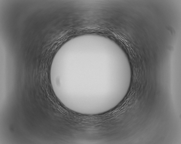 X0000113591349200909181040