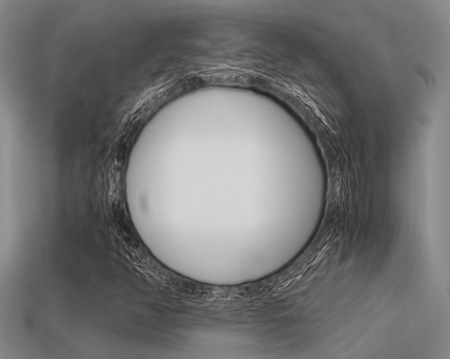 X0000113591350200909181040