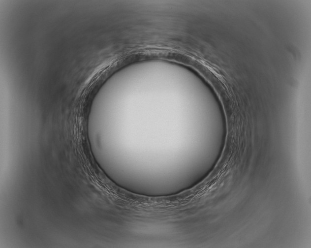 X0000113591351200909181040