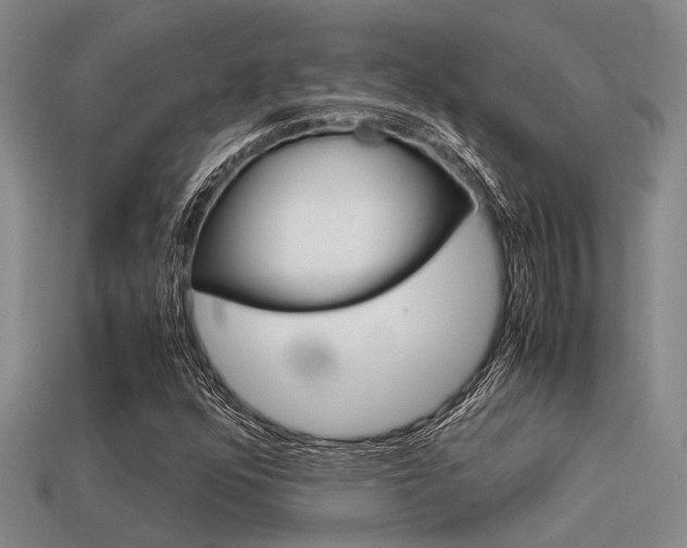 X0000113591352200909181040