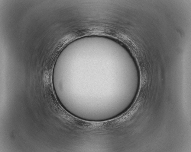 X0000113591353200909181040