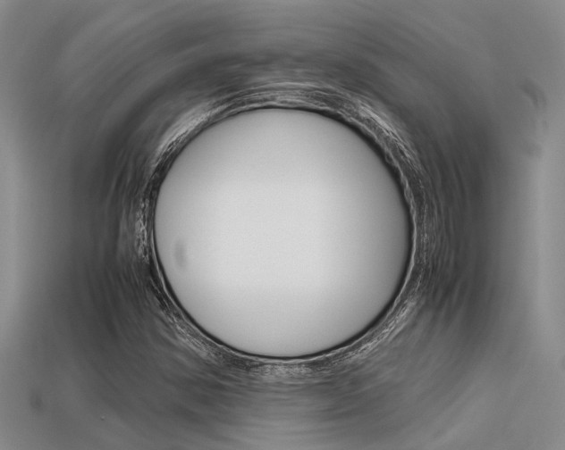 X0000113591354200909181040