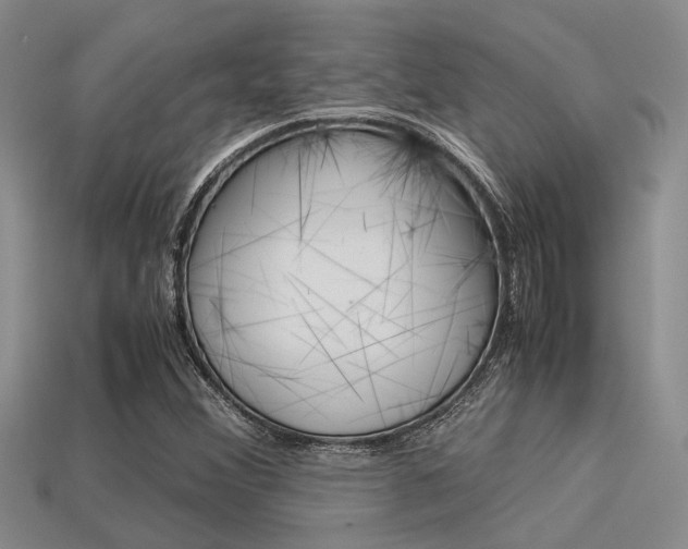 X0000113591356200909181039