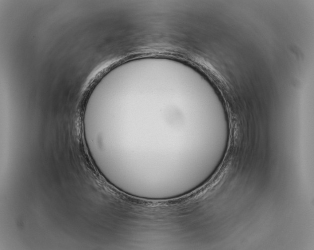 X0000113591358200909181039