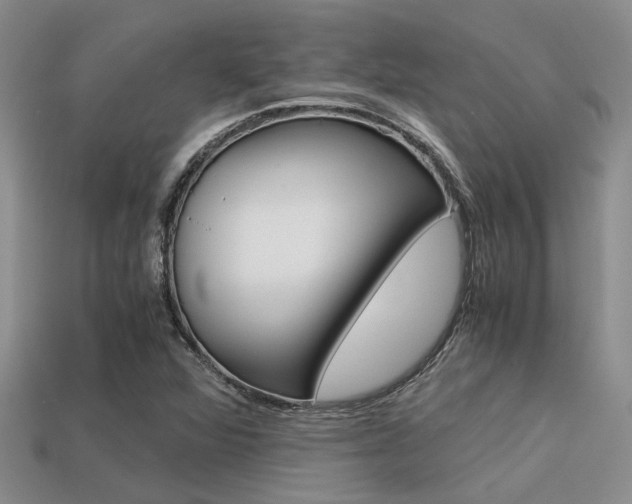 X0000113591360200909181039