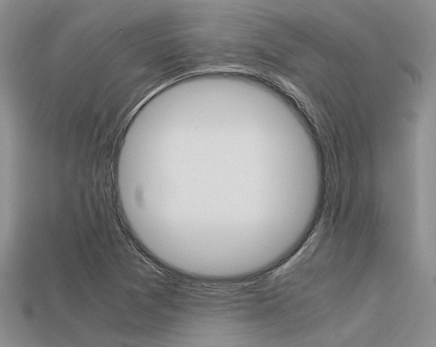 X0000113591361200909181039