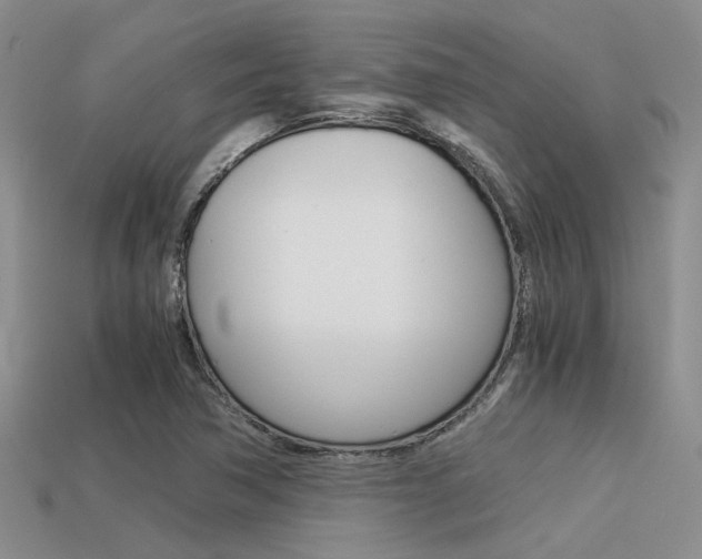 X0000113591362200909181039