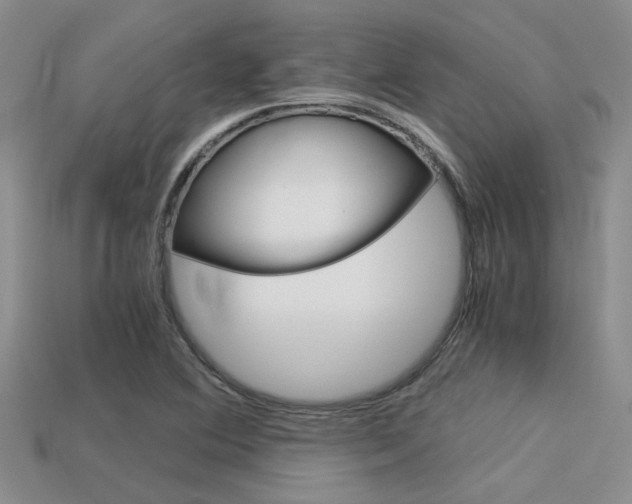 X0000113591364200909181039