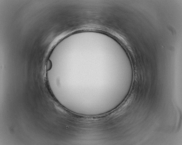 X0000113591366200909181039