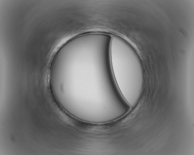 X0000113591367200909181039