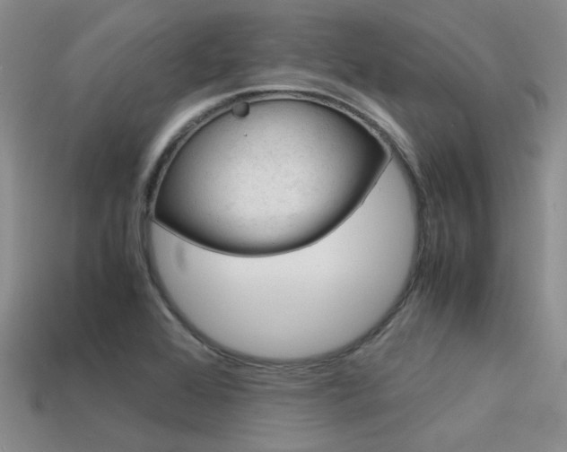 X0000113591368200909181039