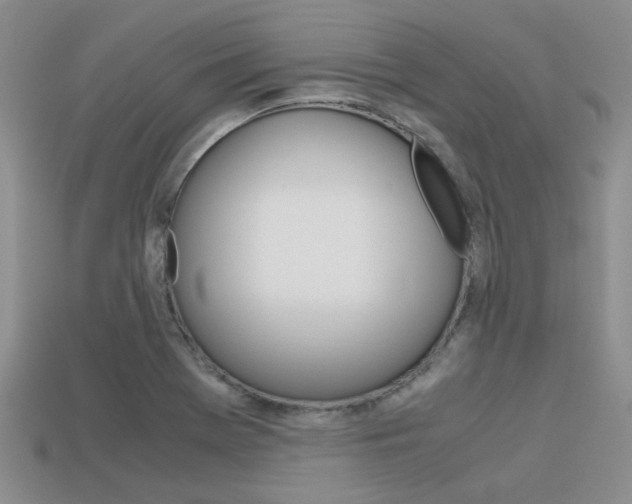 X0000113591369200909181039
