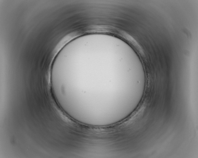 X0000113591370200909181039