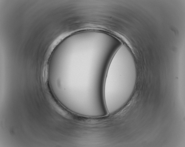 X0000113591371200909181039
